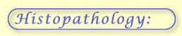 Histopathology: